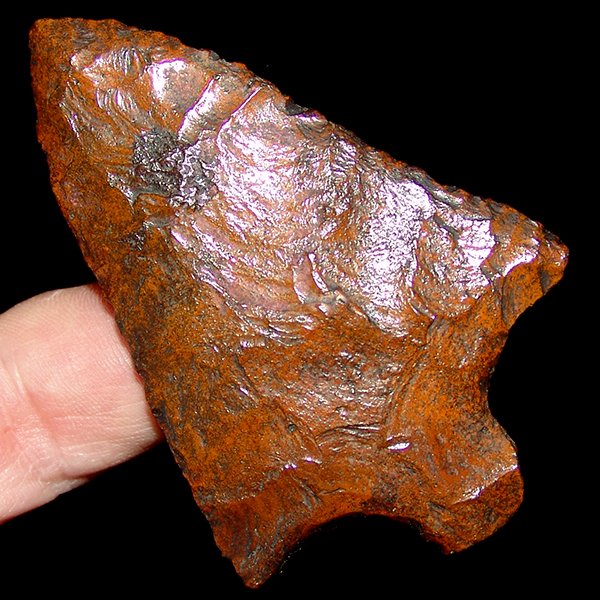 Cocoa Powder Pickwick