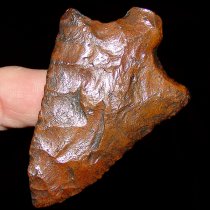 Cocoa Powder Pickwick