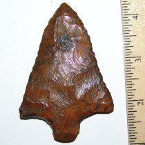 Cocoa Powder Pickwick