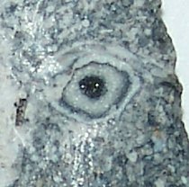Crystal Eye Lost Lake