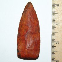 Rare Florida Copena