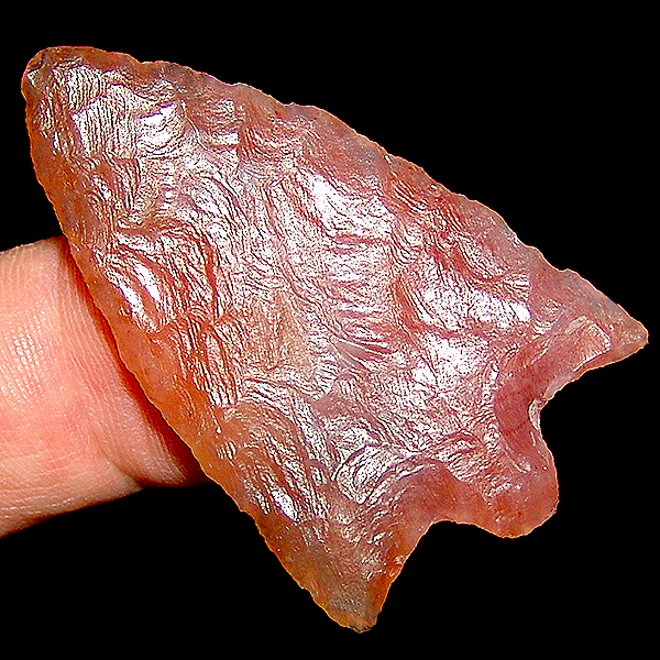Pink Coral Hillsborough