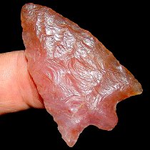 Pink Coral Hillsborough