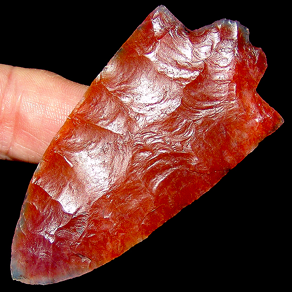 Plasma Red Pasco