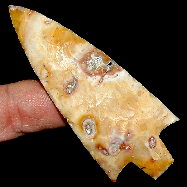 "Calico" Rocket Newnan