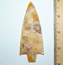 "Calico" Rocket Newnan