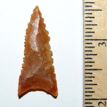 Amber Tallahassee