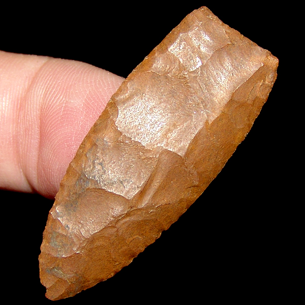 Mini Clovis Dart