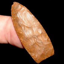 Mini Clovis Dart