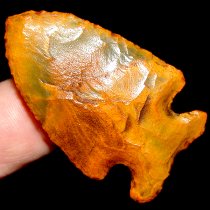 Papaya Bolen