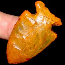 Papaya Bolen