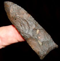 Black Snake Suwannee