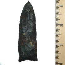 Black Snake Suwannee