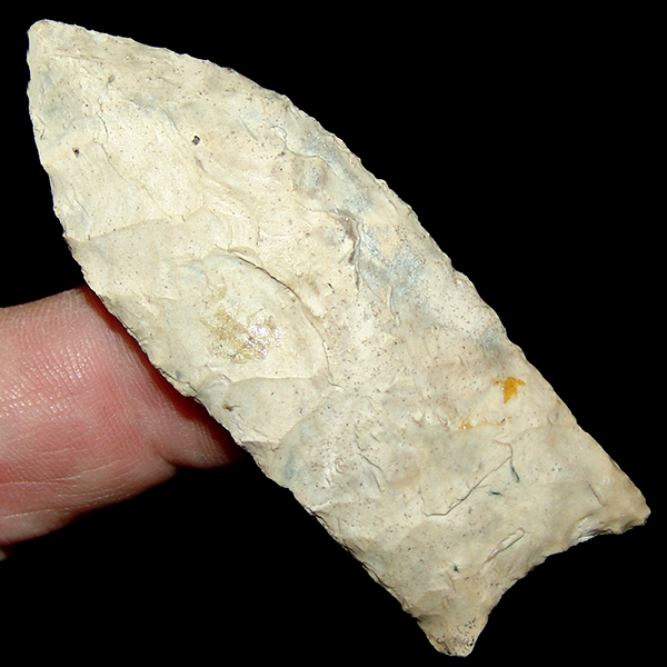 Ocala Formation Chert Clovis