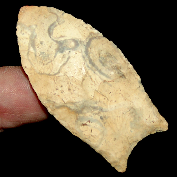 "Swirly" Clovis