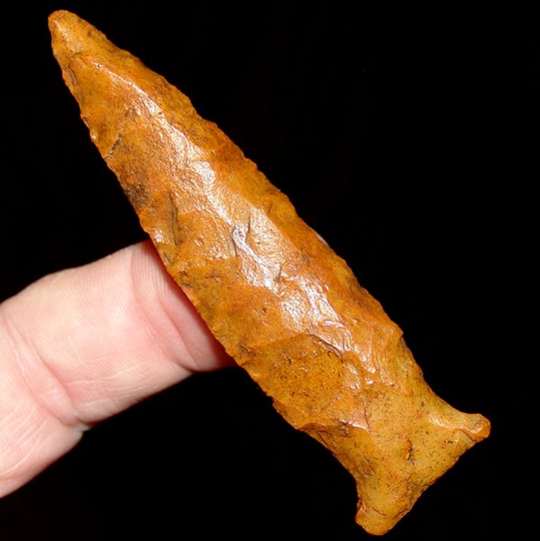 EXTRA Wide Notch Bolen